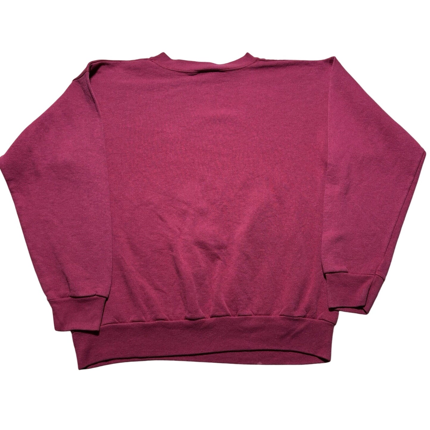 Vintage 80s Texas Native Art Cactus Chili Pepper Coyote Crewneck Sweatshirt L